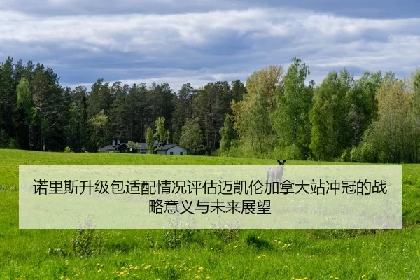 诺里斯升级包适配情况评估迈凯伦加拿大站冲冠的战略意义与未来展望